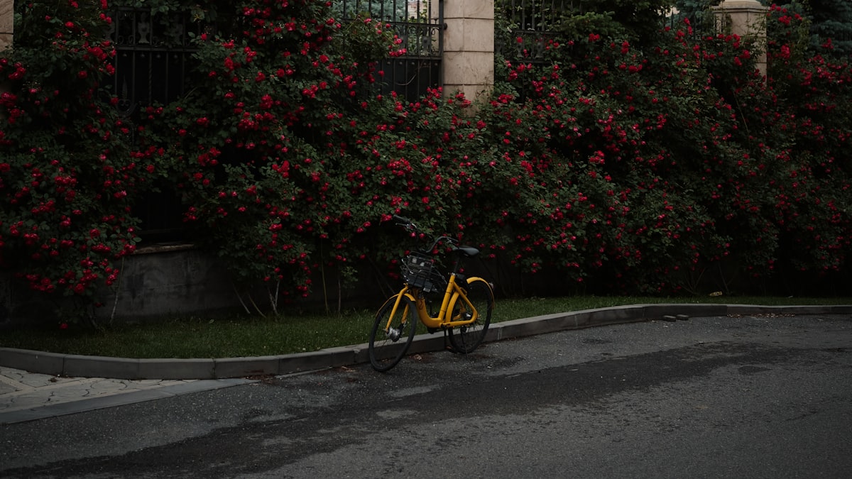 Mobirise